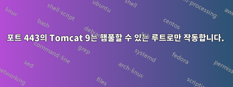 포트 443의 Tomcat 9는 햄풀할 수 있는 루트로만 작동합니다.