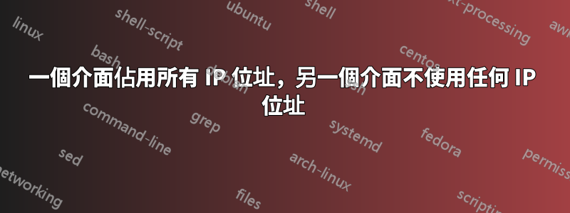 一個介面佔用所有 IP 位址，另一個介面不使用任何 IP 位址