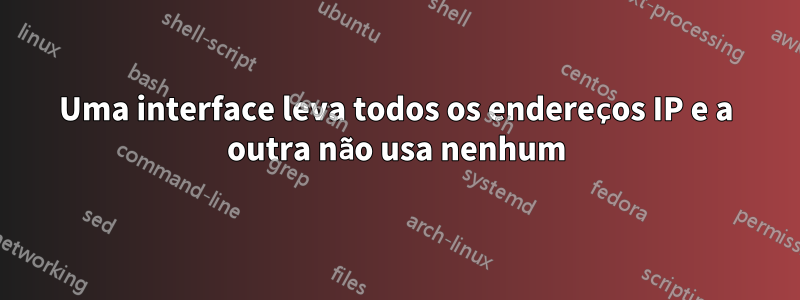 Uma interface leva todos os endereços IP e a outra não usa nenhum