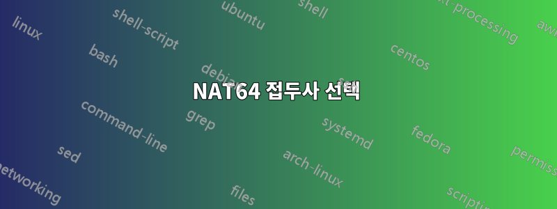 NAT64 접두사 선택