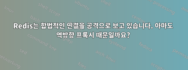 Redis는 합법적인 연결을 공격으로 보고 있습니다. 아마도 역방향 프록시 때문일까요?