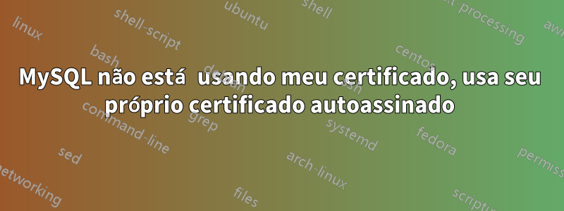 MySQL não está usando meu certificado, usa seu próprio certificado autoassinado