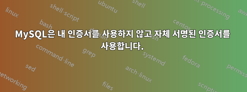 MySQL은 내 인증서를 사용하지 않고 자체 서명된 인증서를 사용합니다.