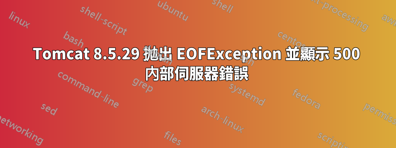 Tomcat 8.5.29 拋出 EOFException 並顯示 500 內部伺服器錯誤