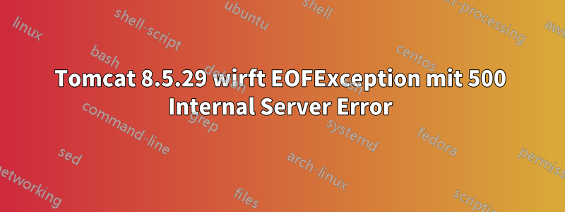 Tomcat 8.5.29 wirft EOFException mit 500 Internal Server Error