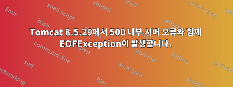 Tomcat 8.5.29에서 500 내부 서버 오류와 함께 EOFException이 발생합니다.