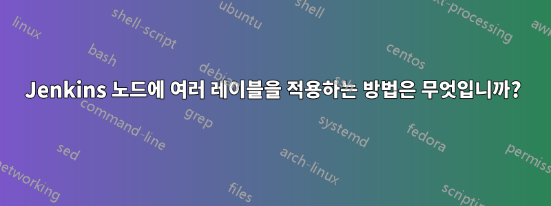 Jenkins 노드에 여러 레이블을 적용하는 방법은 무엇입니까?