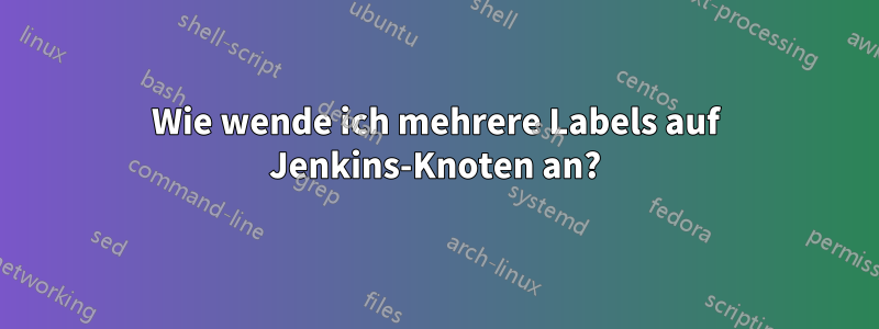 Wie wende ich mehrere Labels auf Jenkins-Knoten an?