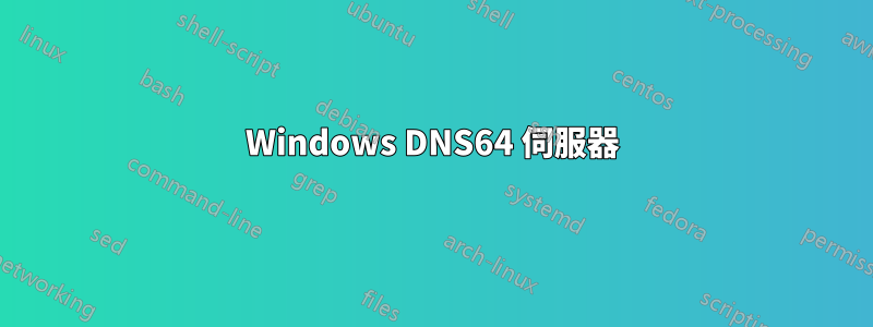 Windows DNS64 伺服器