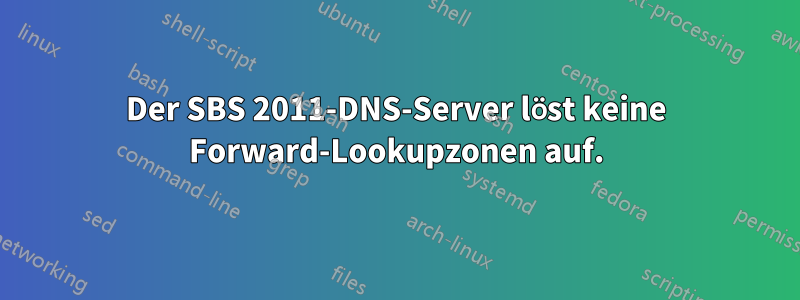 Der SBS 2011-DNS-Server löst keine Forward-Lookupzonen auf.