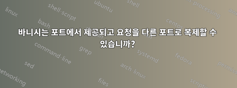 바니시는 포트에서 제공되고 요청을 다른 포트로 복제할 수 있습니까?