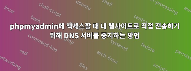 phpmyadmin에 액세스할 때 내 웹사이트로 직접 전송하기 위해 DNS 서버를 중지하는 방법