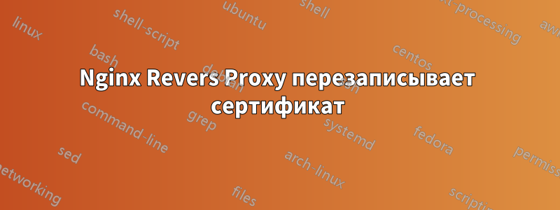 Nginx Revers Proxy перезаписывает сертификат