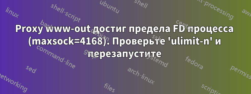 Proxy www-out достиг предела FD процесса (maxsock=4168). Проверьте 'ulimit-n' и перезапустите