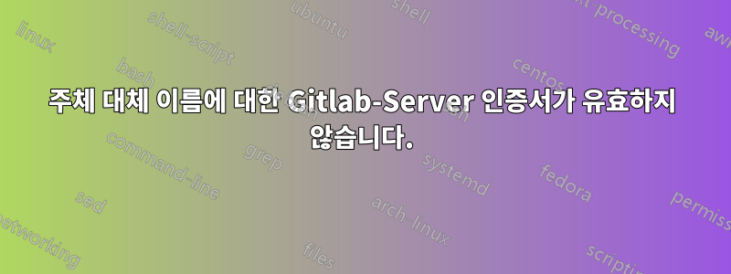 주체 대체 이름에 대한 Gitlab-Server 인증서가 유효하지 않습니다.