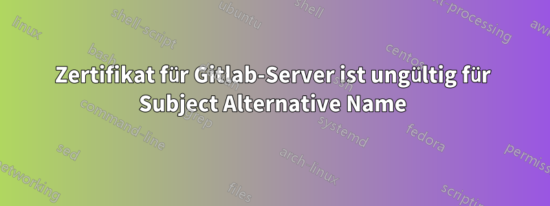 Zertifikat für Gitlab-Server ist ungültig für Subject Alternative Name