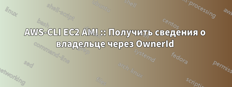 AWS-CLI EC2 AMI :: Получить сведения о владельце через OwnerId