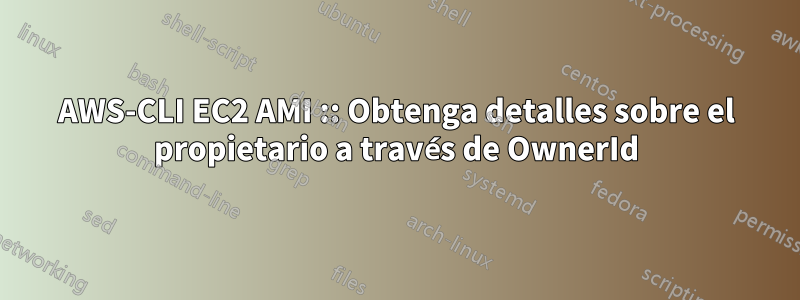 AWS-CLI EC2 AMI :: Obtenga detalles sobre el propietario a través de OwnerId