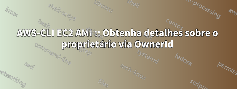 AWS-CLI EC2 AMI :: Obtenha detalhes sobre o proprietário via OwnerId