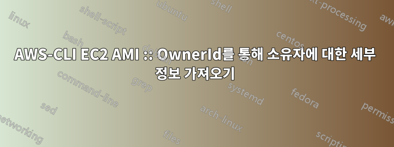 AWS-CLI EC2 AMI :: OwnerId를 통해 소유자에 대한 세부 정보 가져오기