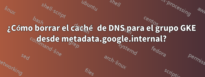 ¿Cómo borrar el caché de DNS para el grupo GKE desde metadata.google.internal?