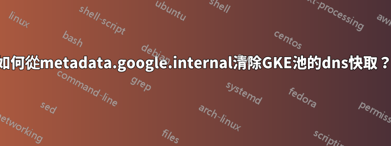 如何從metadata.google.internal清除GKE池的dns快取？