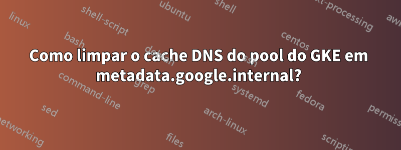 Como limpar o cache DNS do pool do GKE em metadata.google.internal?