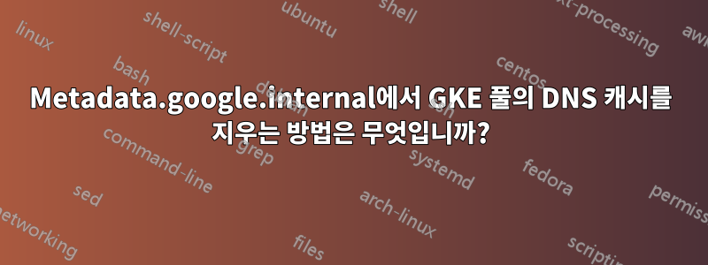 Metadata.google.internal에서 GKE 풀의 DNS 캐시를 지우는 방법은 무엇입니까?