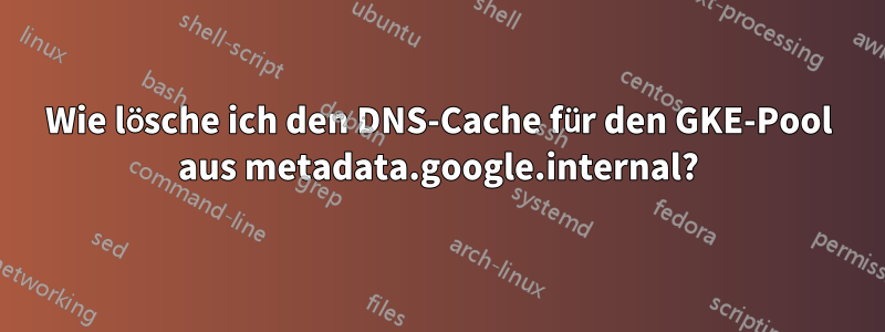 Wie lösche ich den DNS-Cache für den GKE-Pool aus metadata.google.internal?