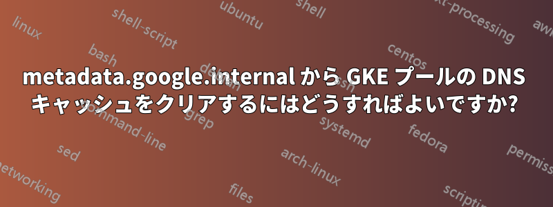 metadata.google.internal から GKE プールの DNS キャッシュをクリアするにはどうすればよいですか?