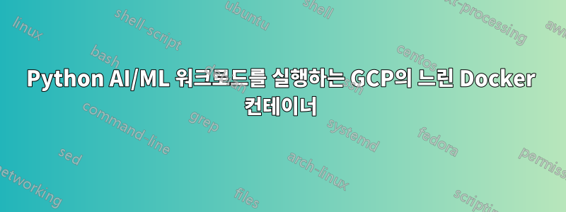 Python AI/ML 워크로드를 실행하는 GCP의 느린 Docker 컨테이너