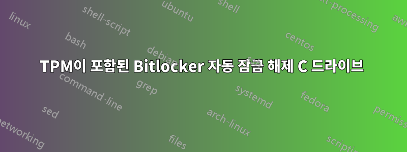 TPM이 포함된 Bitlocker 자동 잠금 해제 C 드라이브