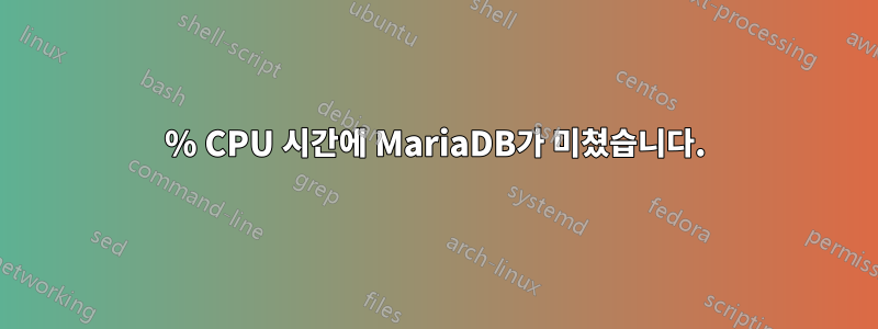 500% CPU 시간에 MariaDB가 미쳤습니다.