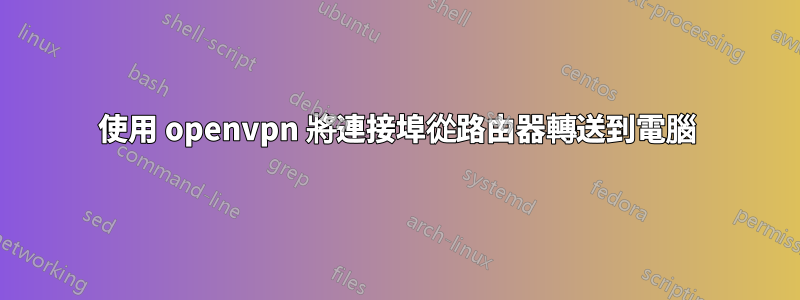 使用 openvpn 將連接埠從路由器轉送到電腦