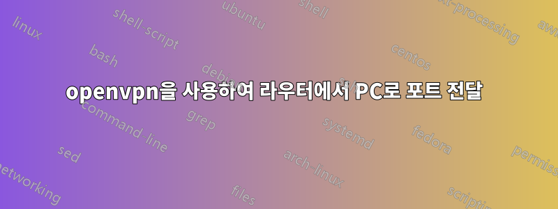 openvpn을 사용하여 라우터에서 PC로 포트 전달 