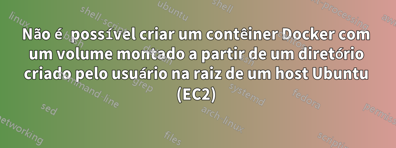 Não é possível criar um contêiner Docker com um volume montado a partir de um diretório criado pelo usuário na raiz de um host Ubuntu (EC2)