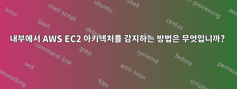 내부에서 AWS EC2 아키텍처를 감지하는 방법은 무엇입니까?