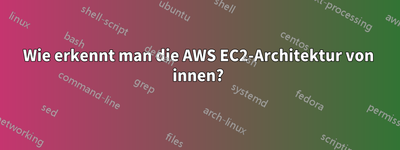 Wie erkennt man die AWS EC2-Architektur von innen?