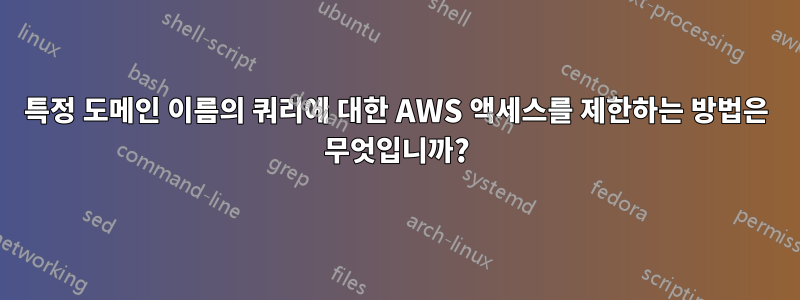 특정 도메인 이름의 쿼리에 대한 AWS 액세스를 제한하는 방법은 무엇입니까?