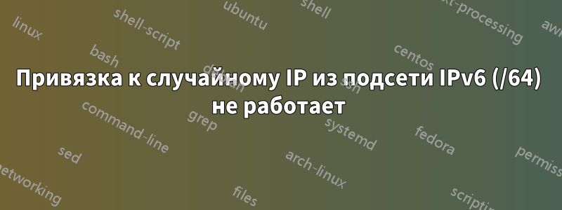Привязка к случайному IP из подсети IPv6 (/64) не работает