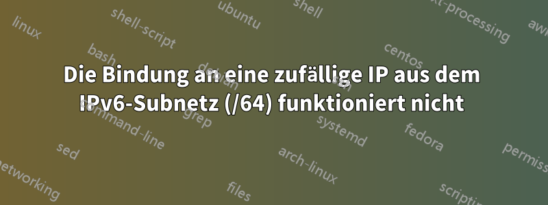 Die Bindung an eine zufällige IP aus dem IPv6-Subnetz (/64) funktioniert nicht