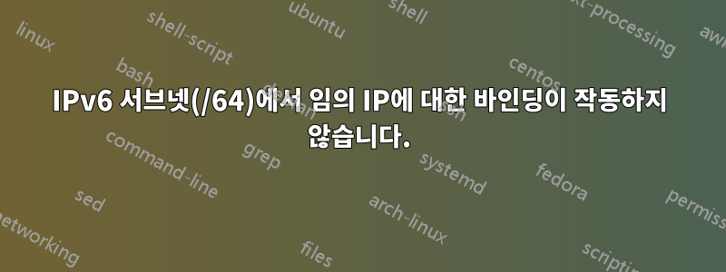 IPv6 서브넷(/64)에서 임의 IP에 대한 바인딩이 작동하지 않습니다.