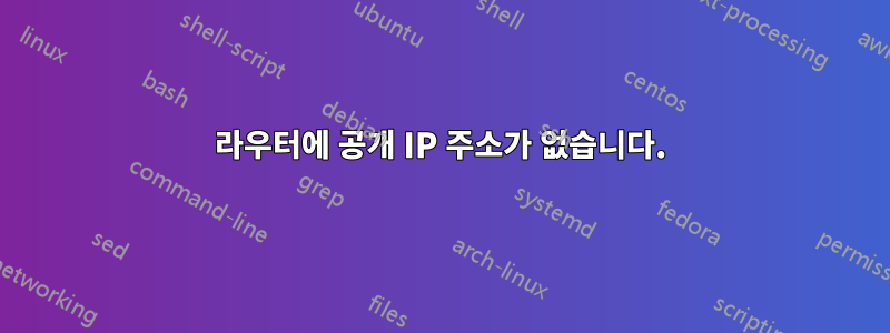 라우터에 공개 IP 주소가 없습니다.
