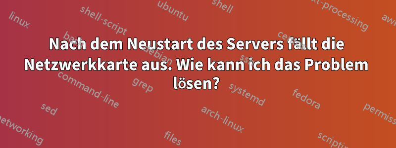 Nach dem Neustart des Servers fällt die Netzwerkkarte aus. Wie kann ich das Problem lösen?