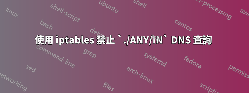 使用 iptables 禁止 `./ANY/IN` DNS 查詢