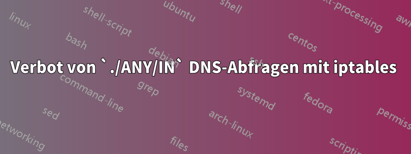 Verbot von `./ANY/IN` DNS-Abfragen mit iptables