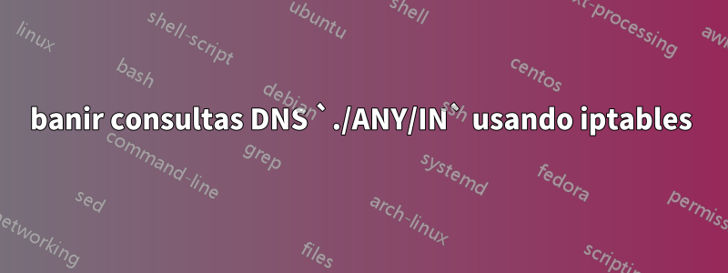 banir consultas DNS `./ANY/IN` usando iptables
