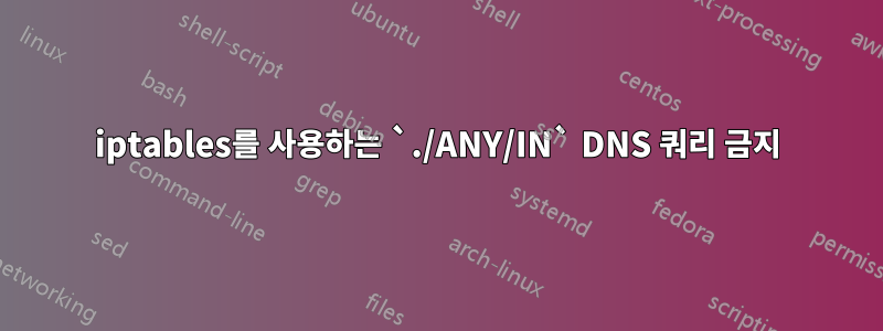 iptables를 사용하는 `./ANY/IN` DNS 쿼리 금지