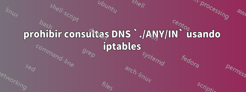 prohibir consultas DNS `./ANY/IN` usando iptables