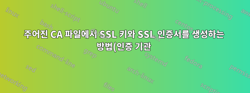 주어진 CA 파일에서 SSL 키와 SSL 인증서를 생성하는 방법(인증 기관)